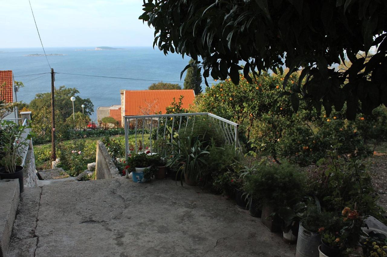 Apartments With A Parking Space Plat, Dubrovnik - 4776 米利尼 外观 照片